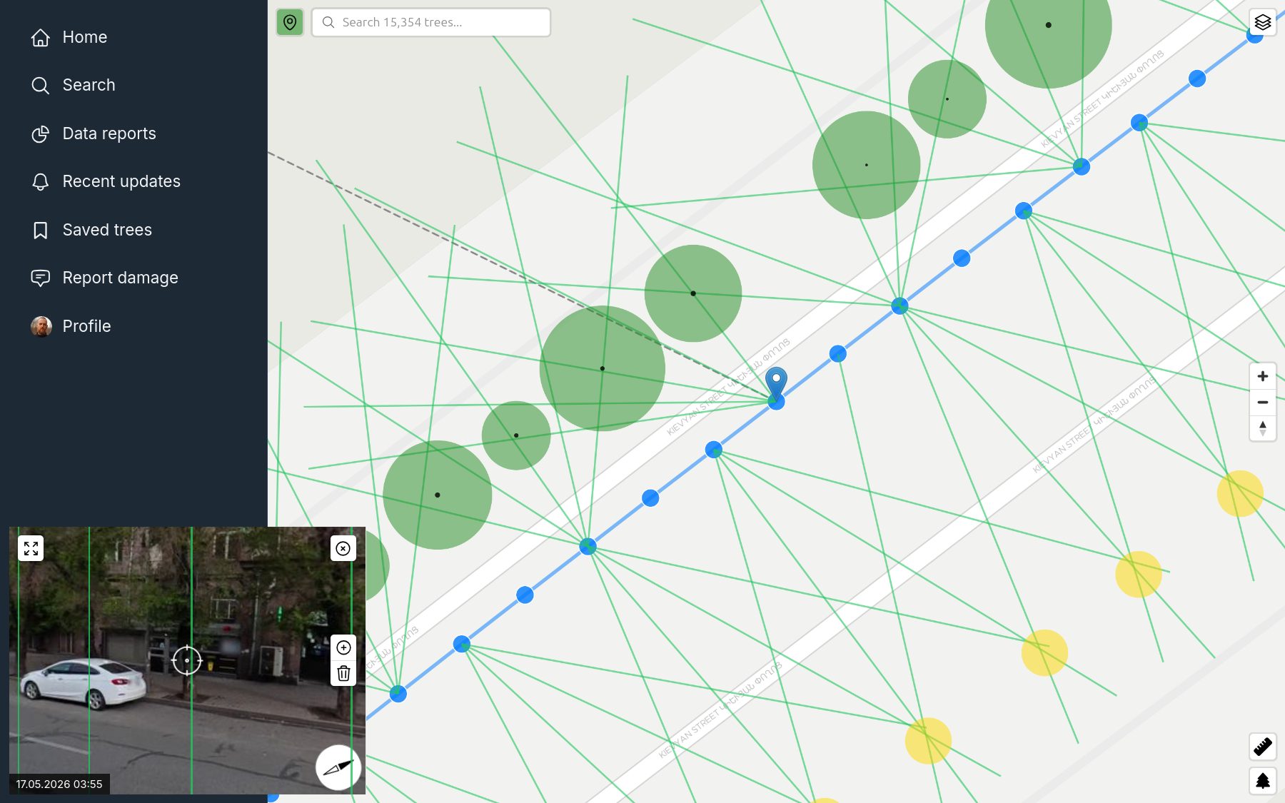 Tree triangulation via Street View